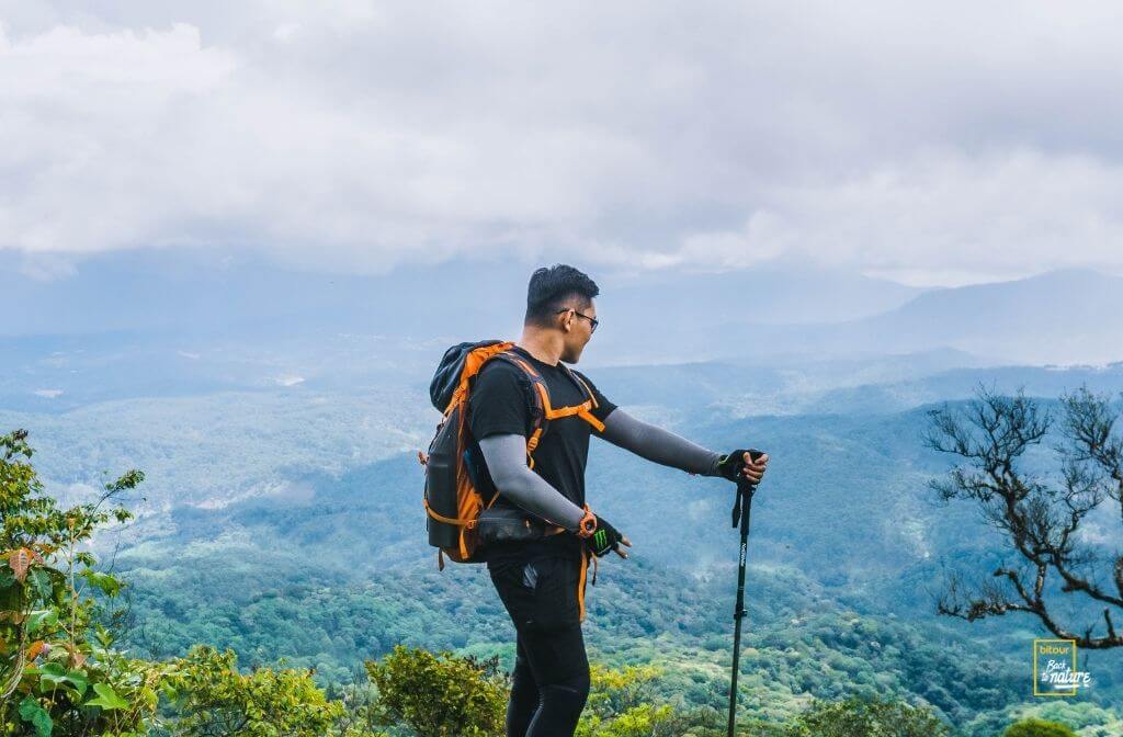 Gậy trekking hợp kim nhôm